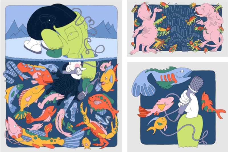 Illustrations by Maddie Fischer for The Guardian