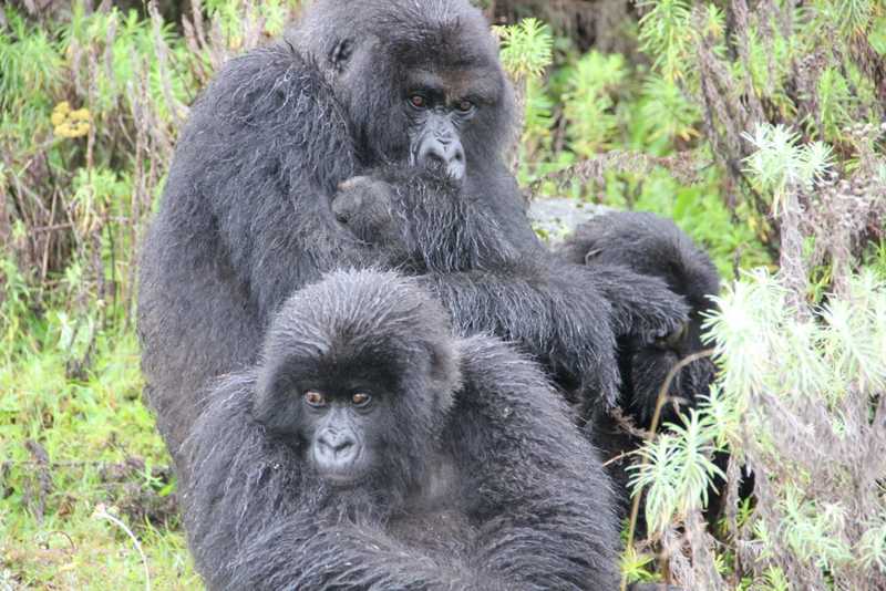 Maggie huddled close to her four-year-old son, Gasore