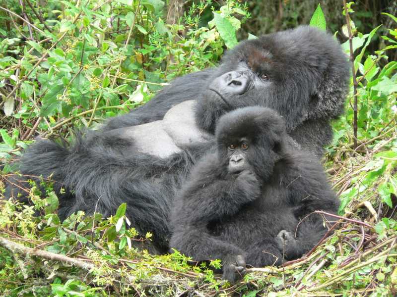 Canstbee with his three-year-old grandson Ubwuzu